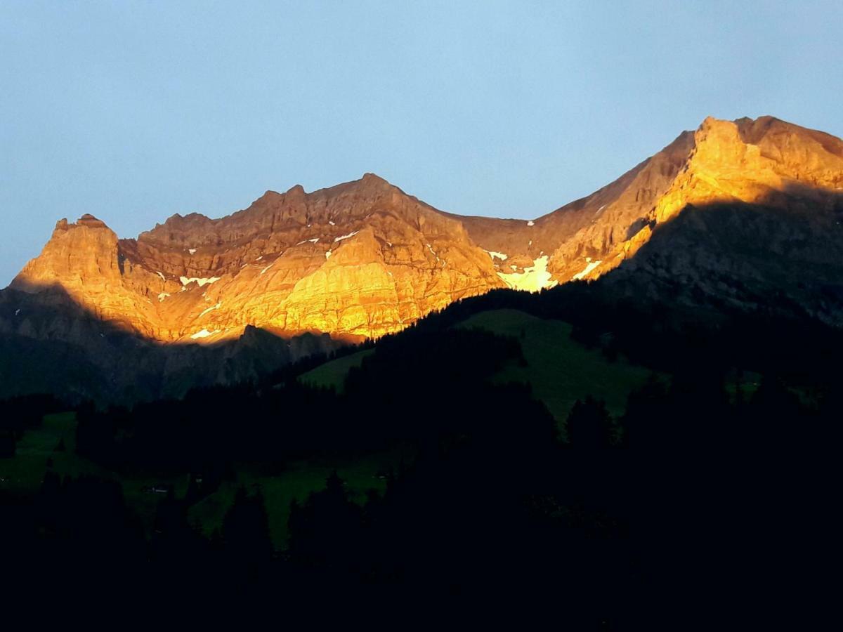 Apartamento Laubrinus Adelboden Exterior foto